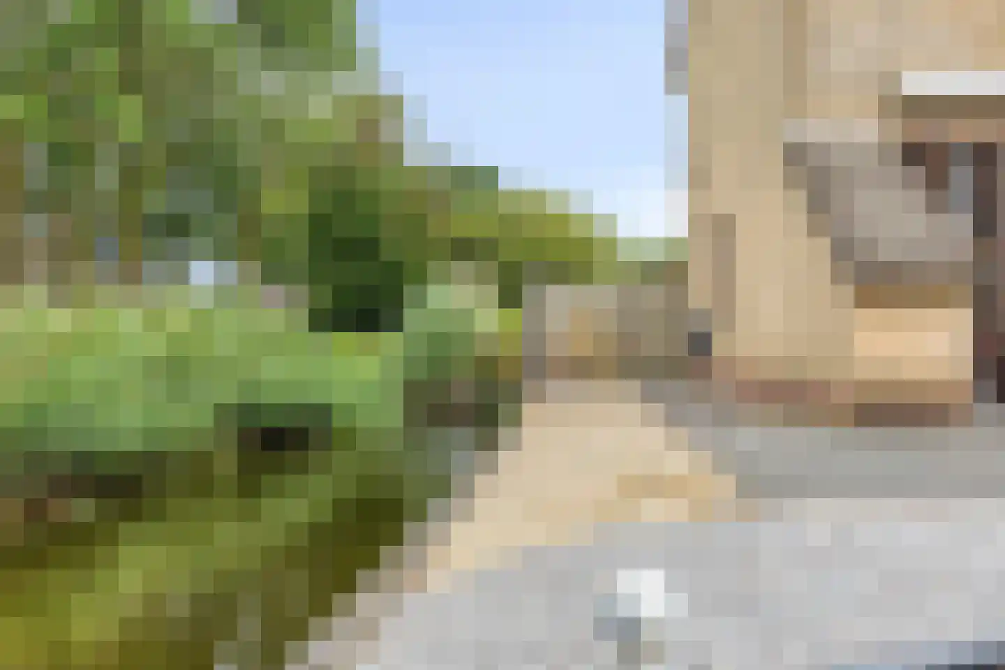 Beemdgras 96 Gouda thumbnail 18