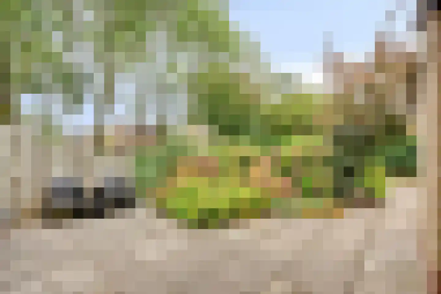 Beemdgras 96 Gouda thumbnail 22