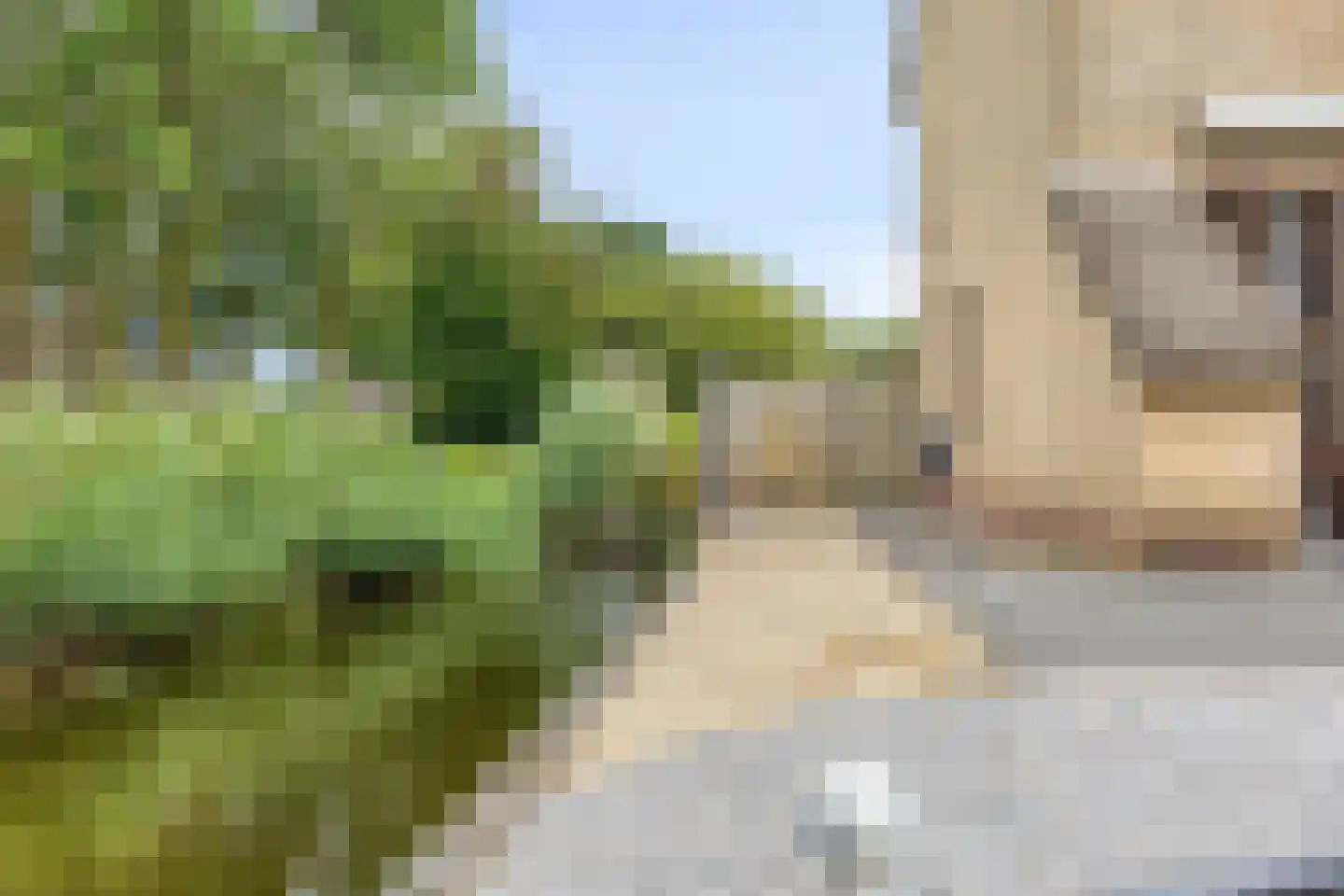Beemdgras 96 Gouda thumbnail 42