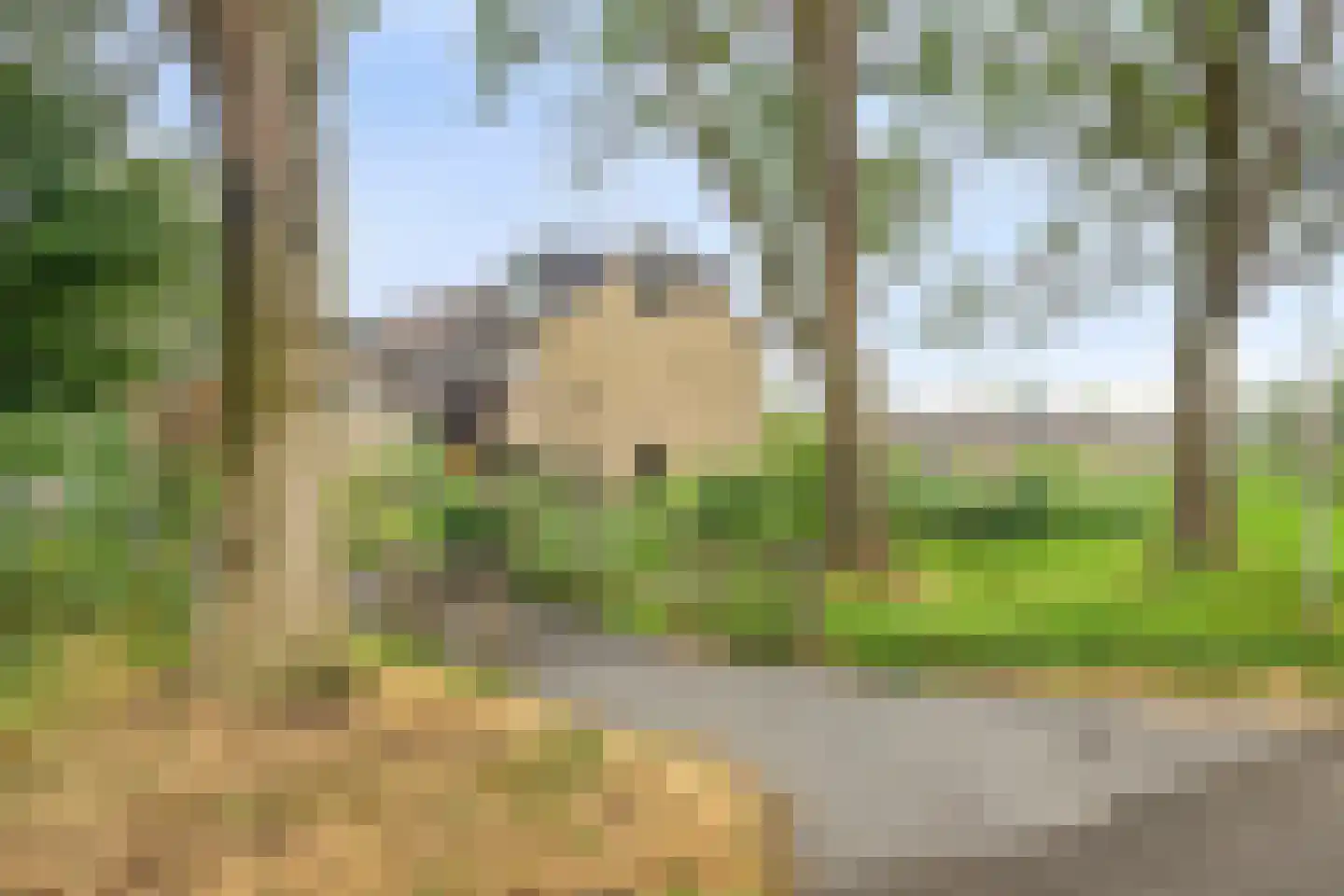 Beemdgras 96 Gouda thumbnail 43