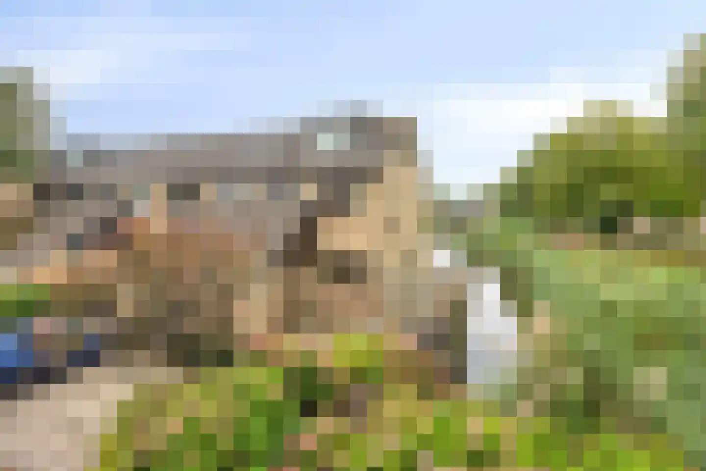 Beemdgras 96 Gouda thumbnail 5