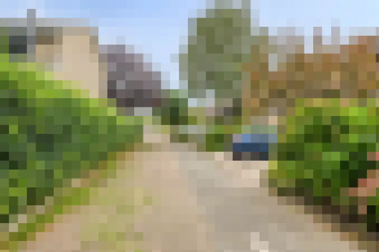 Beemdgras 96 Gouda thumbnail 51