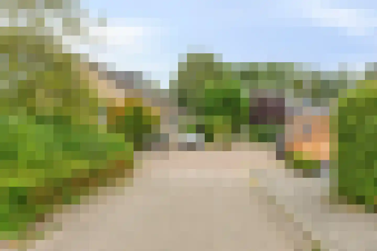 Beemdgras 96 Gouda thumbnail 52