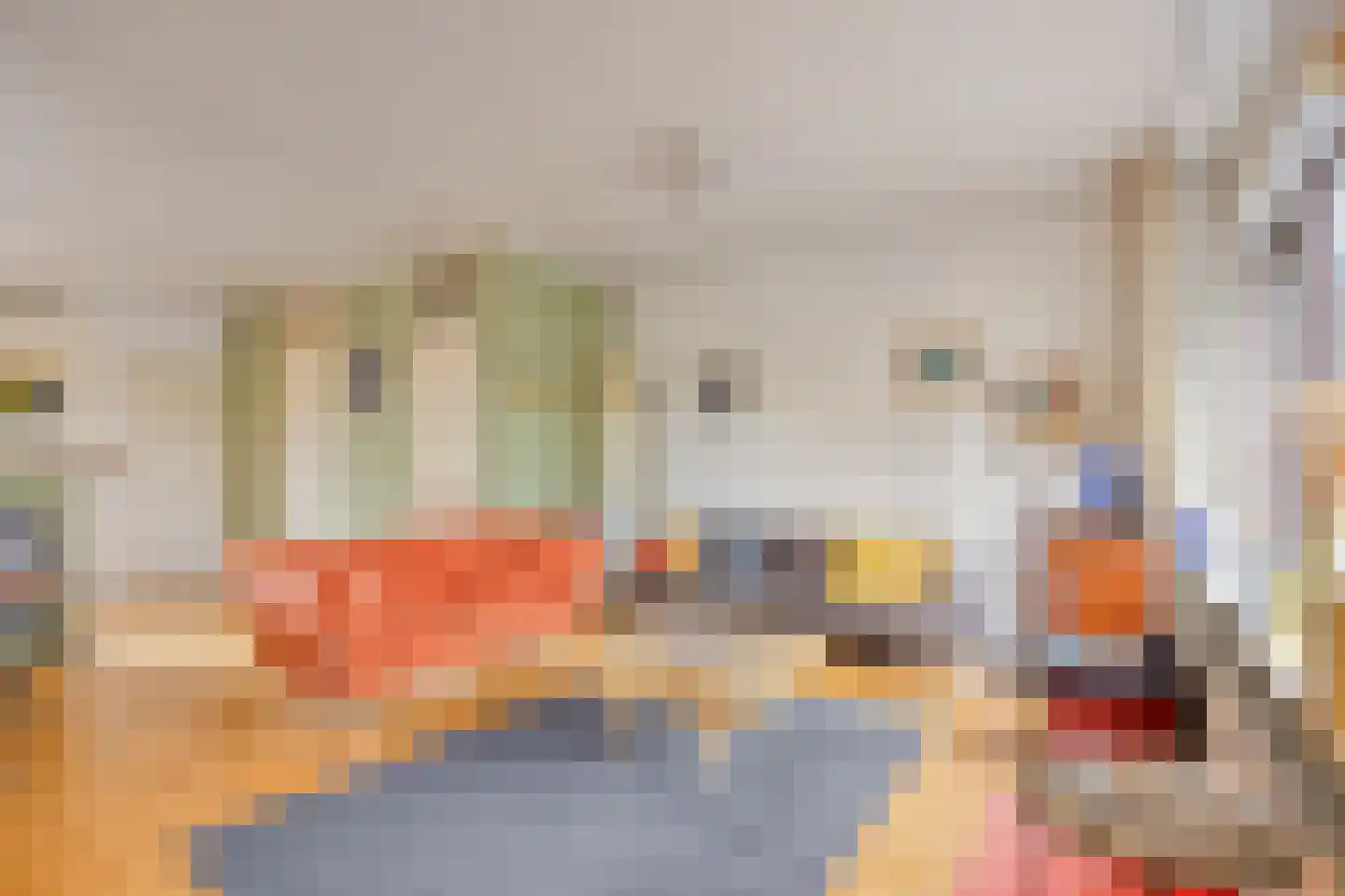 Beemdgras 96 Gouda thumbnail 6