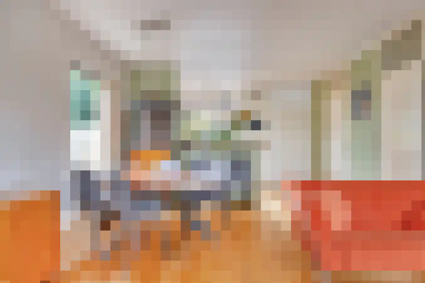 Beemdgras 96 Gouda thumbnail 8