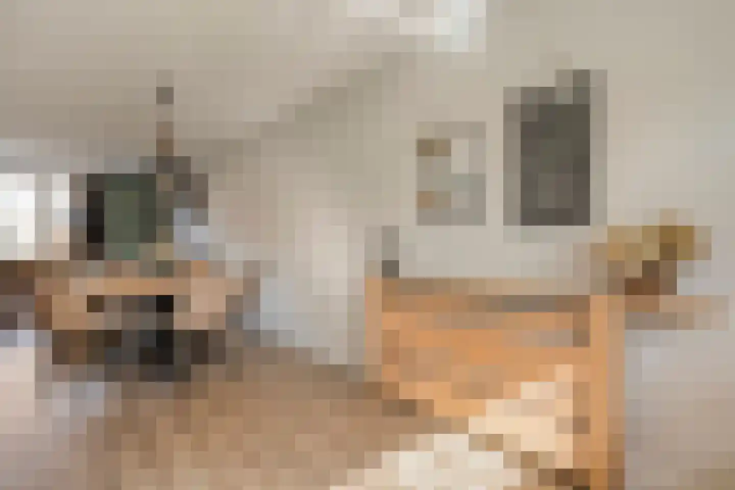 Beemdgraslaan 9 Enschede thumbnail 15
