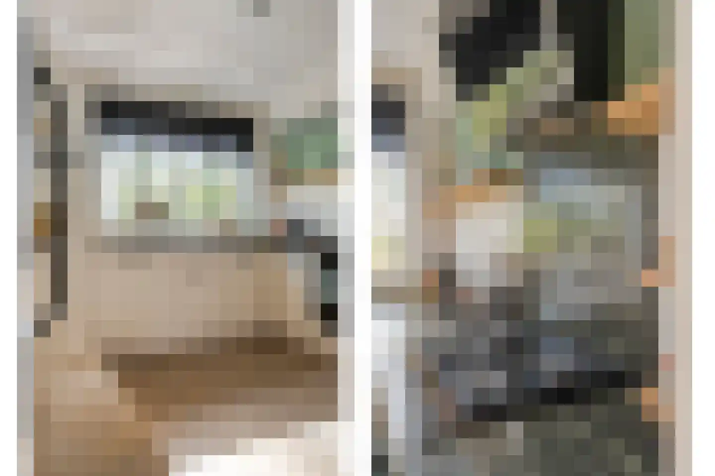 Beemdgraslaan 9 Enschede thumbnail 17