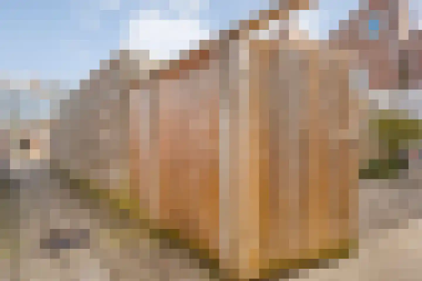 Beemdgraslaan 9 Enschede thumbnail 35