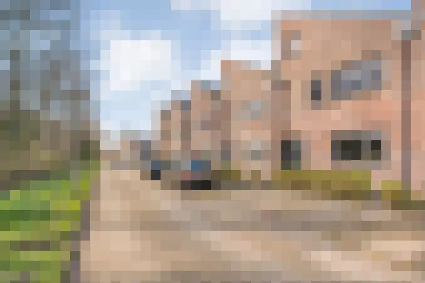 Beemdgraslaan 9 Enschede thumbnail 39