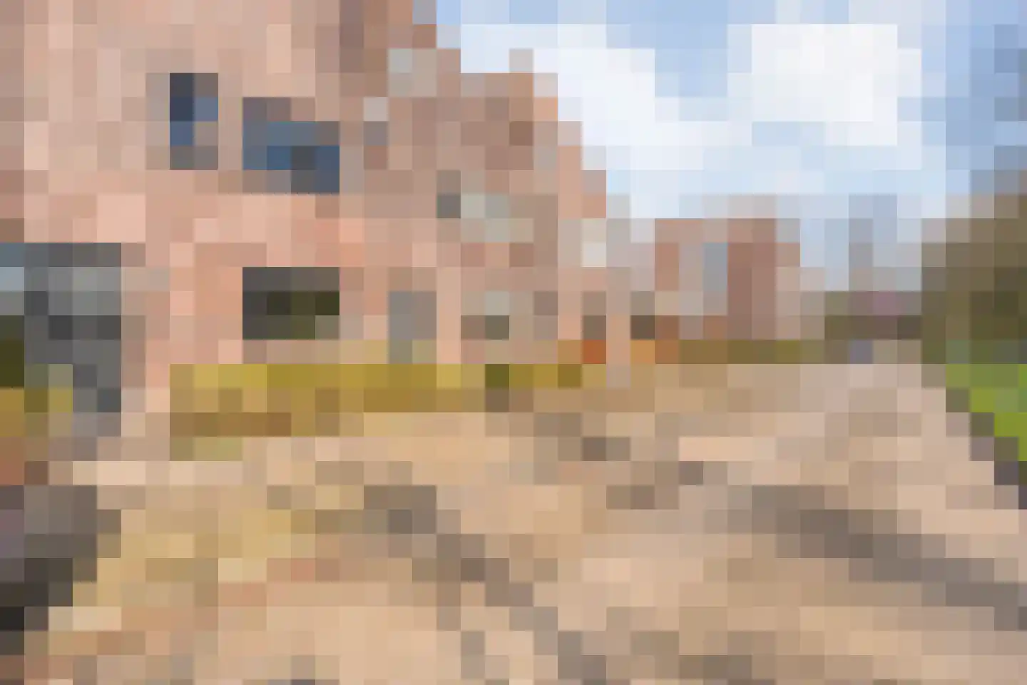 Beemdgraslaan 9 Enschede thumbnail 41