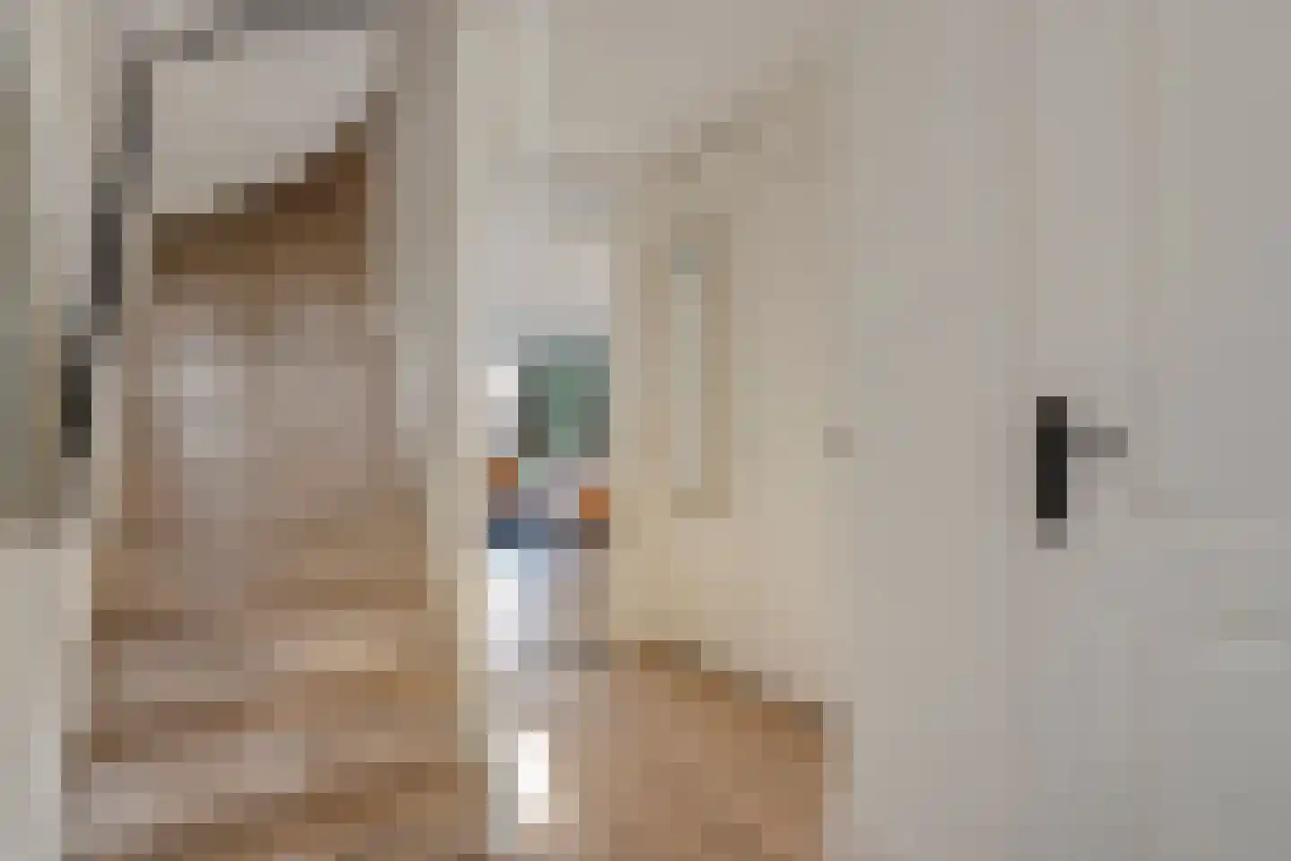Beemdgraslaan 9 Enschede thumbnail 6