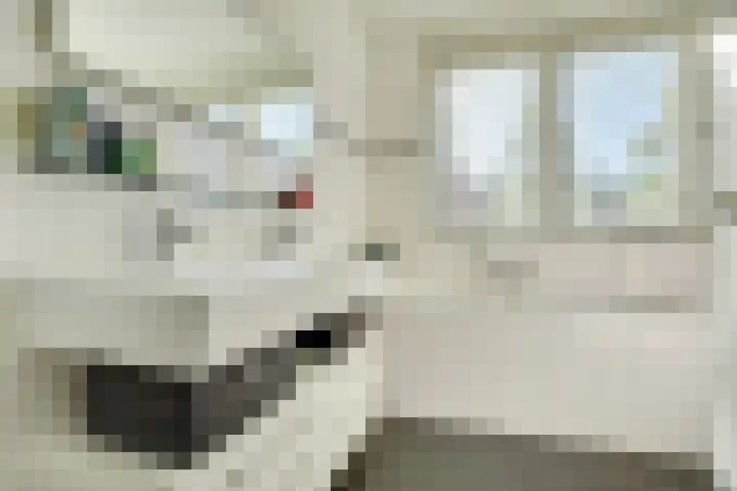 Beemdgrassingel 26 Vleuten thumbnail 28