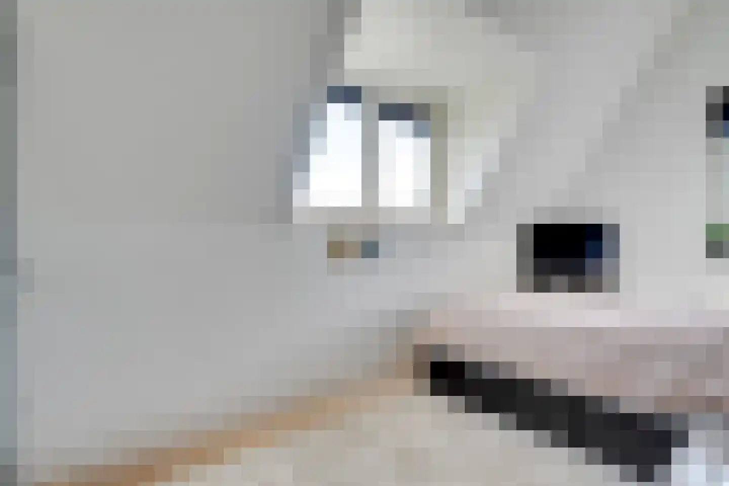 Beemdgrassingel 26 Vleuten thumbnail 34