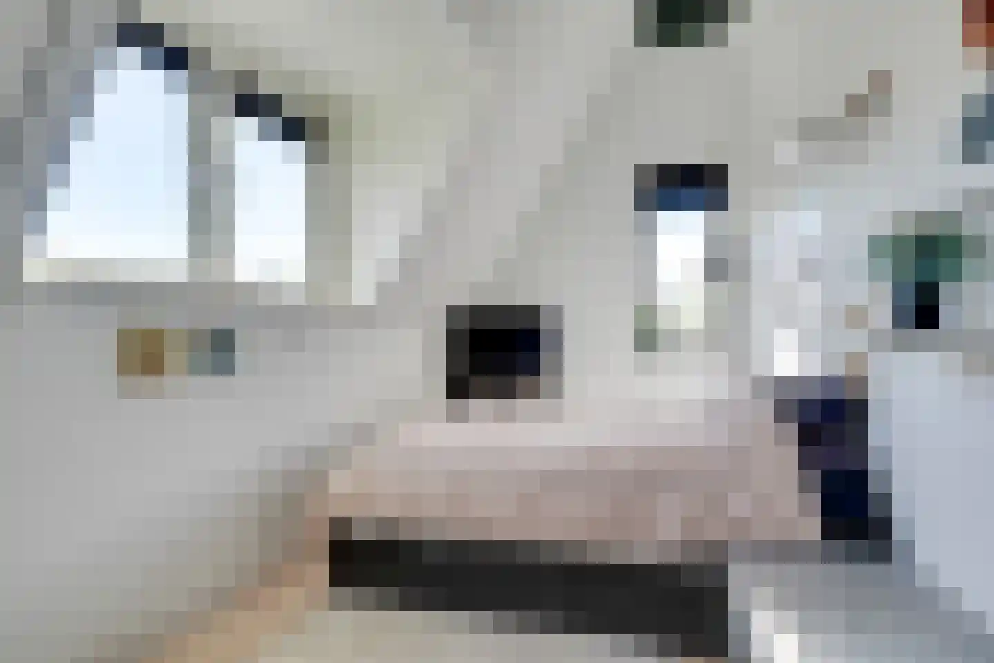 Beemdgrassingel 26 Vleuten thumbnail 35