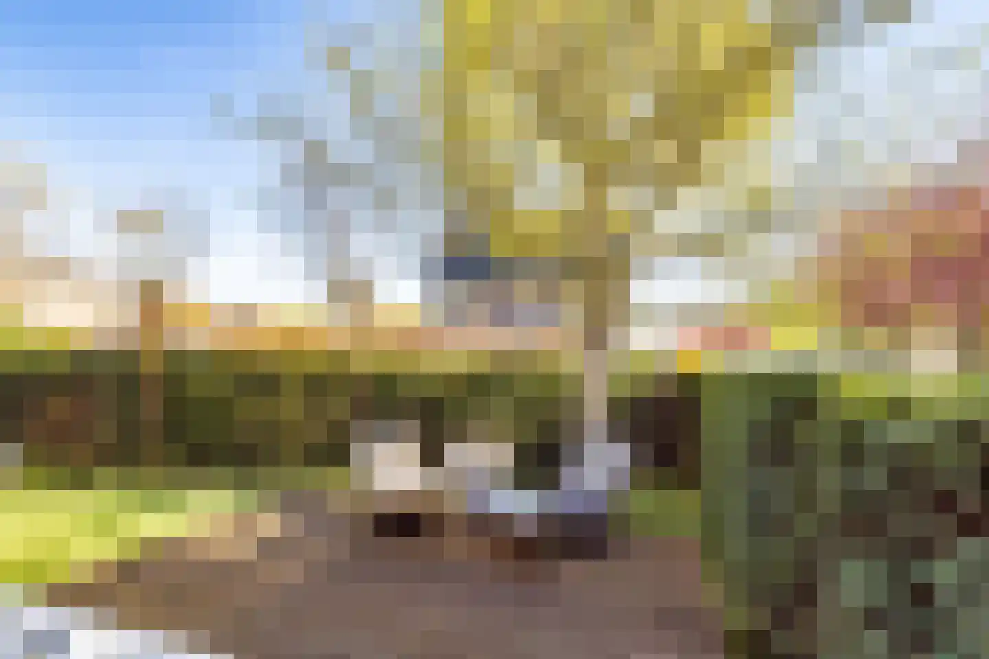 Beemdgrassingel 26 Vleuten thumbnail 57