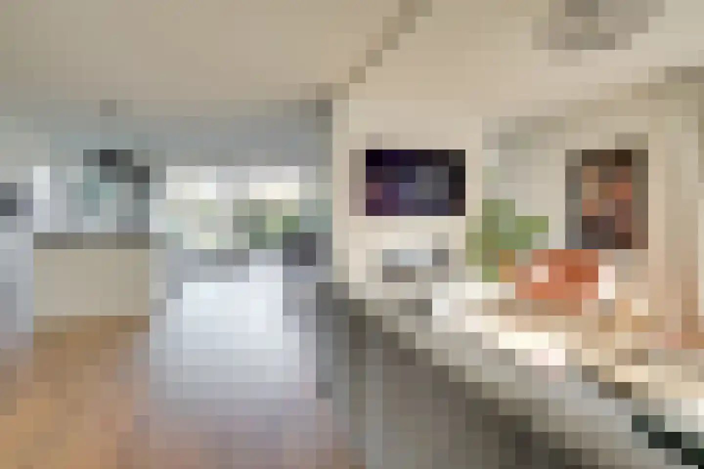 Beemdgrassingel 26 Vleuten thumbnail 6