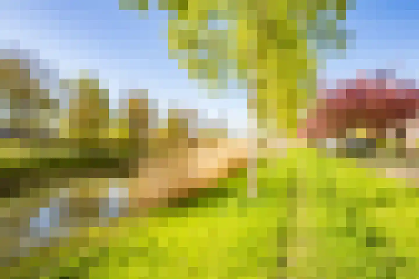 Beemdgrassingel 26 Vleuten thumbnail 65