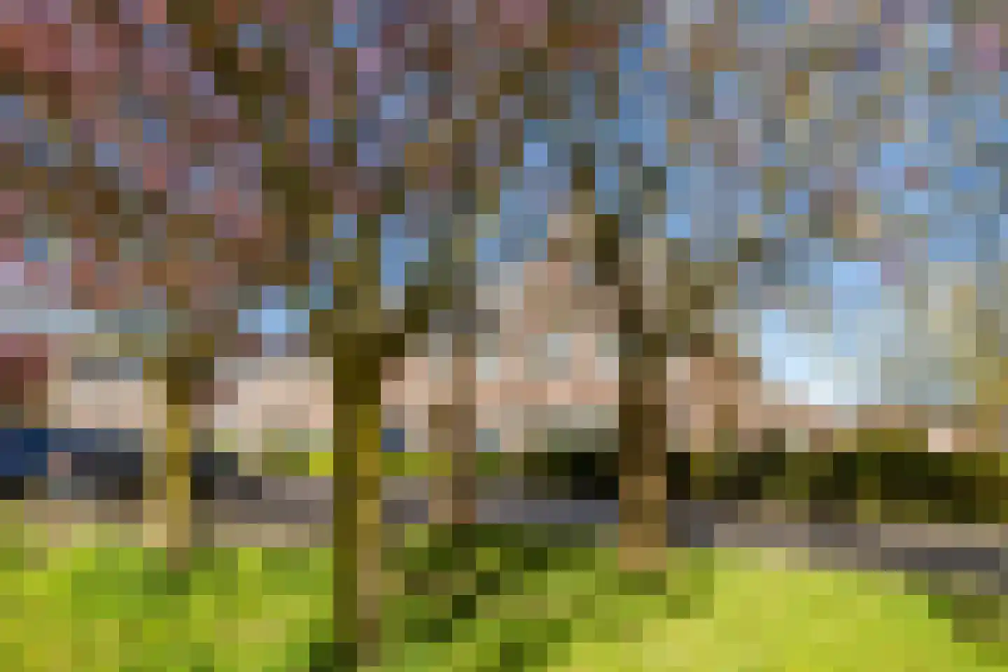 Beemdgrassingel 26 Vleuten thumbnail 66