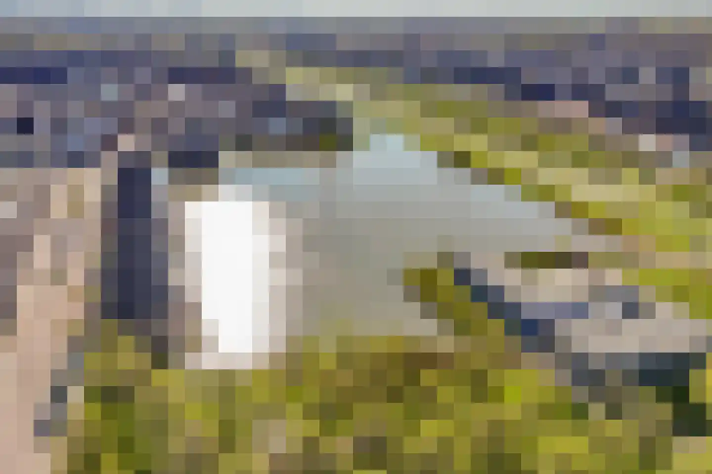 Beemdgrassingel 26 Vleuten thumbnail 69