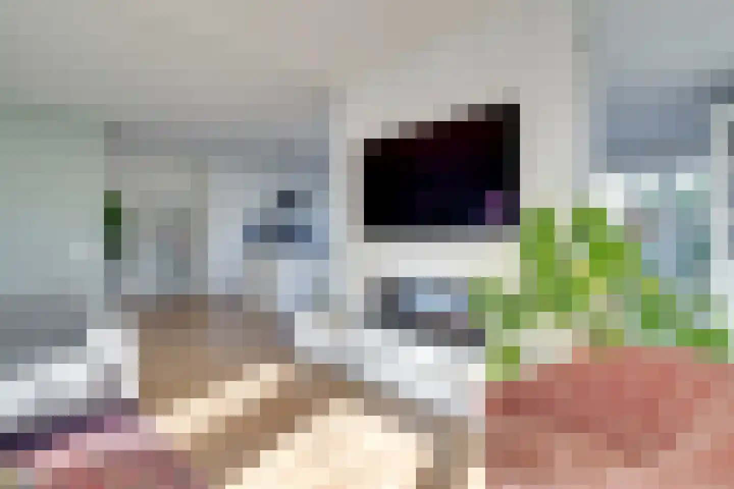 Beemdgrassingel 26 Vleuten thumbnail 7