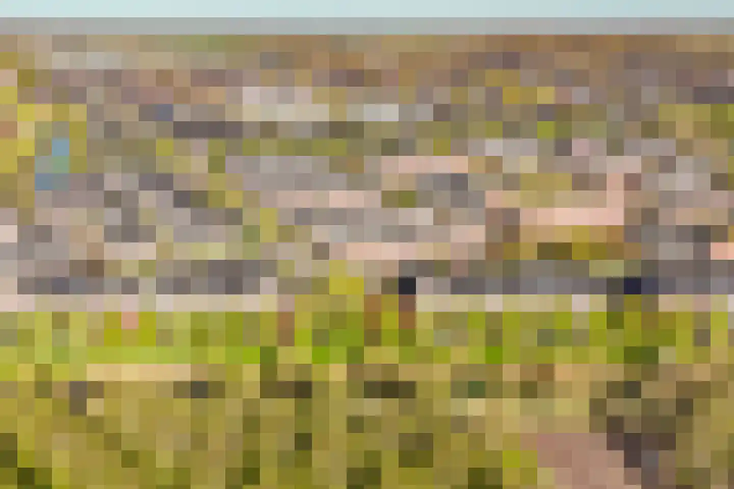 Beemdgrassingel 26 Vleuten thumbnail 71