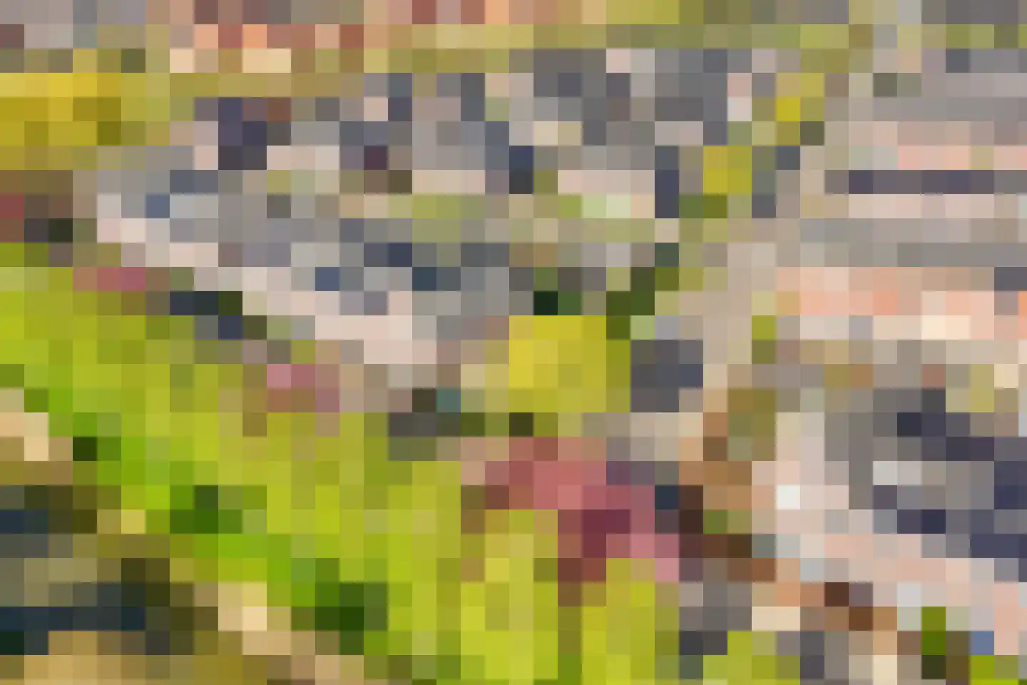 Beemdgrassingel 26 Vleuten thumbnail 72