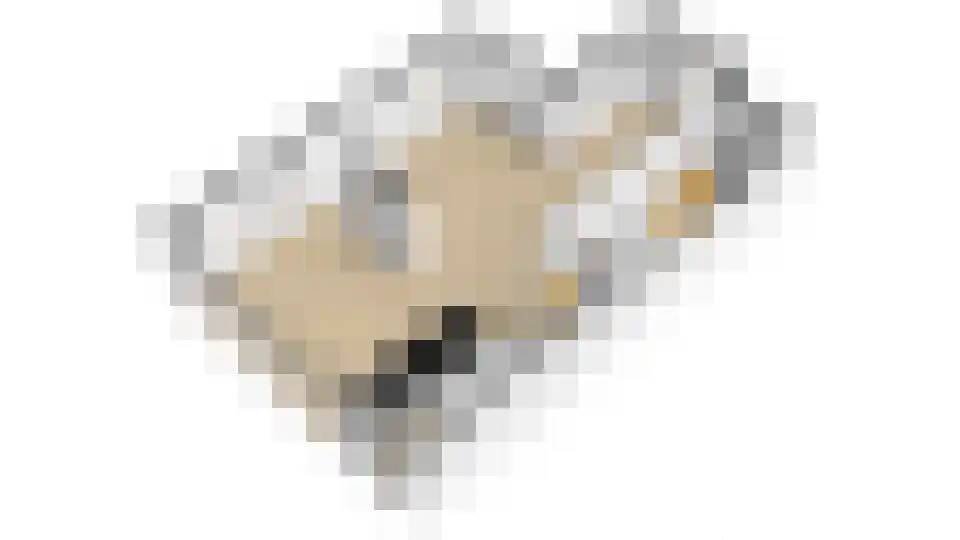 Beemdgrassingel 26 Vleuten thumbnail 85