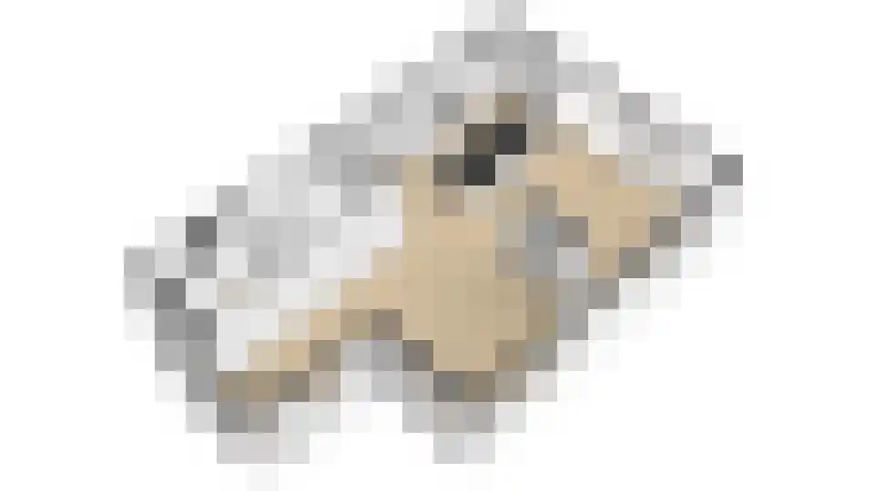 Beemdgrassingel 26 Vleuten thumbnail 86