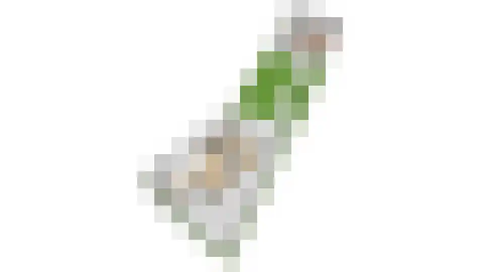Beemdgrassingel 26 Vleuten thumbnail 89