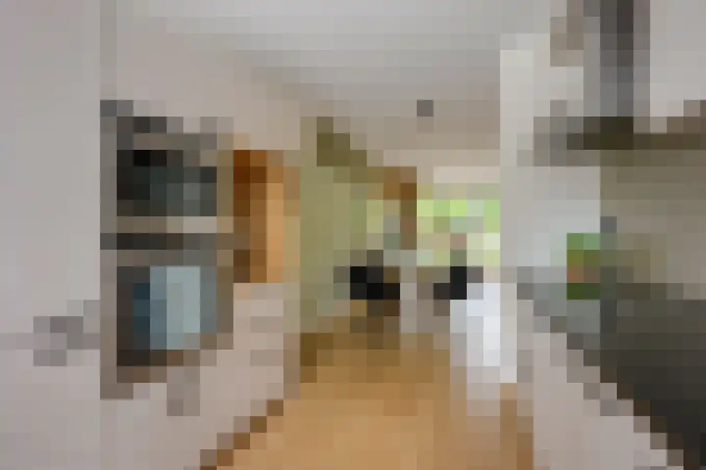 Beemdgrassingel 32 Vleuten thumbnail 22