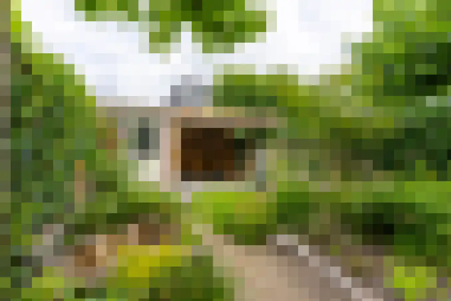 Beemdgrassingel 32 Vleuten thumbnail 26