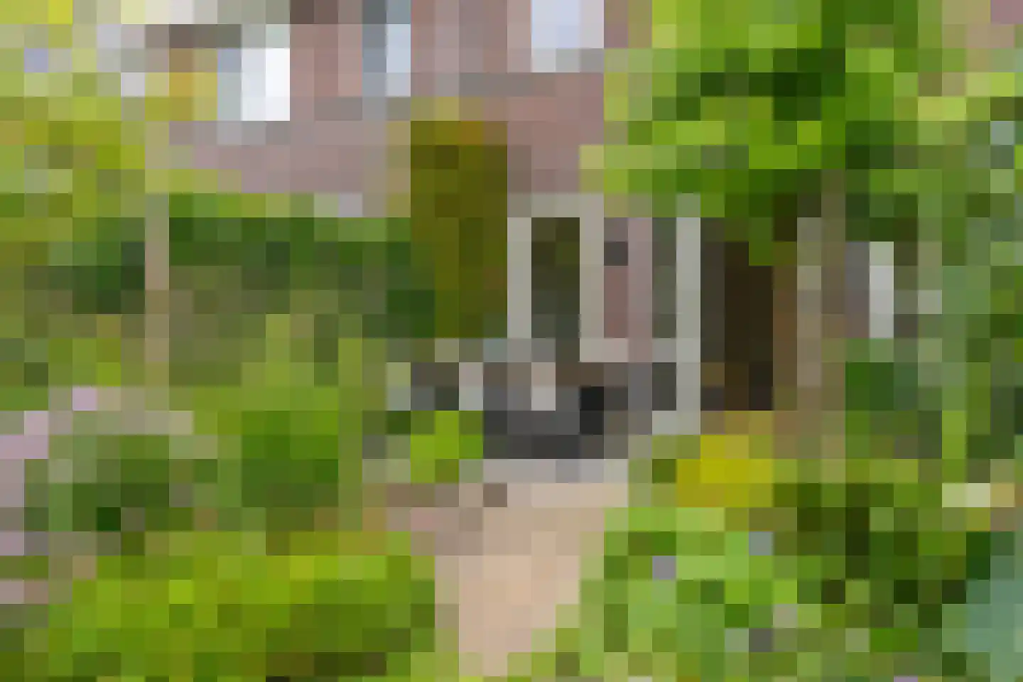 Beemdgrassingel 32 Vleuten thumbnail 29