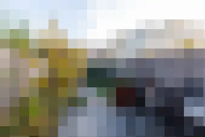 Beemdgrasstraat 19 Rijswijk thumbnail 21