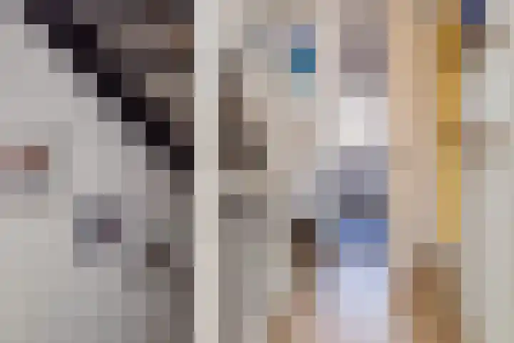 Beemdgrasstraat 19 Rijswijk thumbnail 38