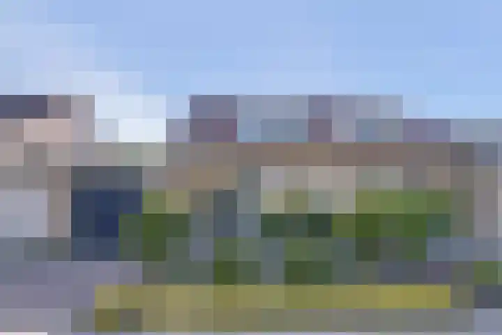 Beemdheuvel 6 Best