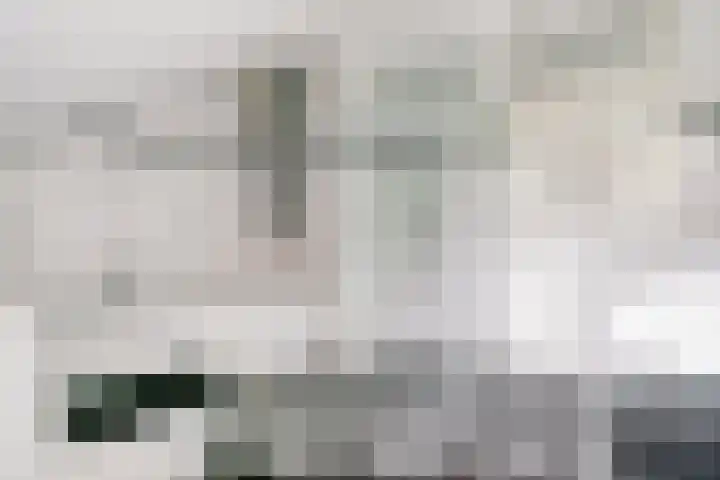 Beemdheuvel 6 Best thumbnail 34