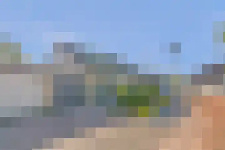Beemdheuvel 6 Best thumbnail 4