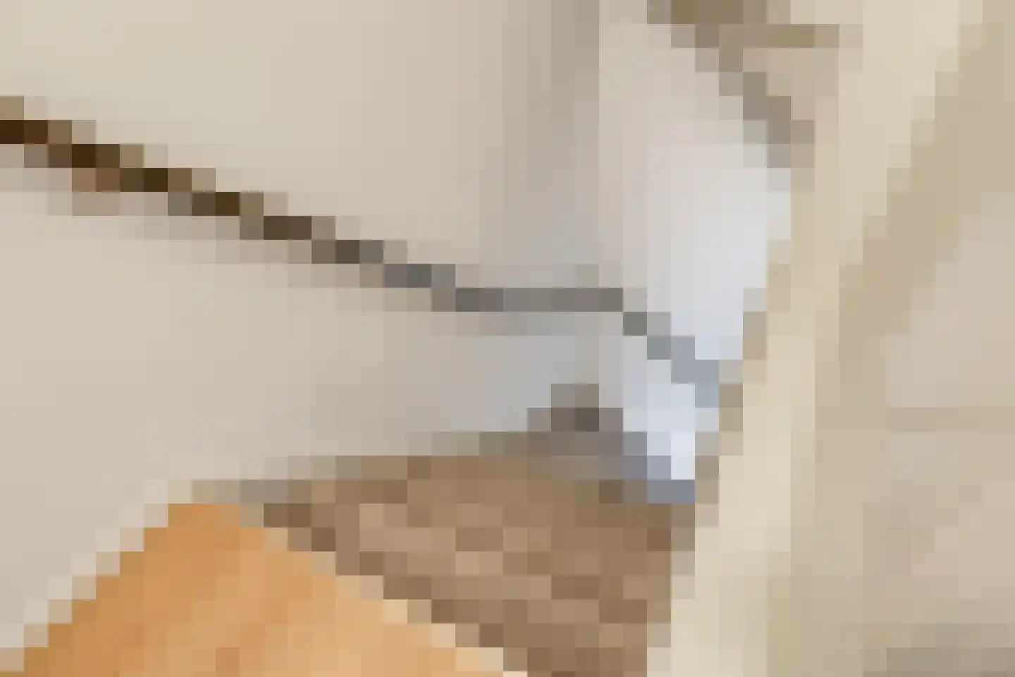 Beemdhof 34 Heteren thumbnail 45