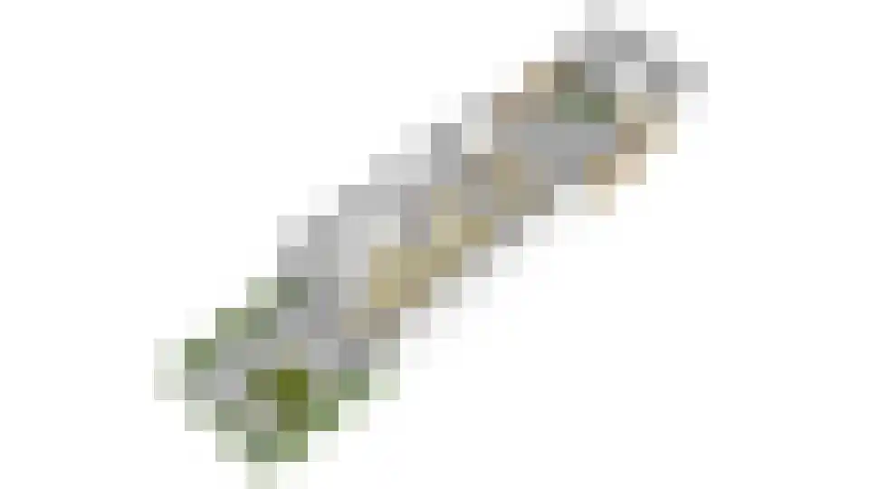 Beemdhof 34 Heteren thumbnail 47