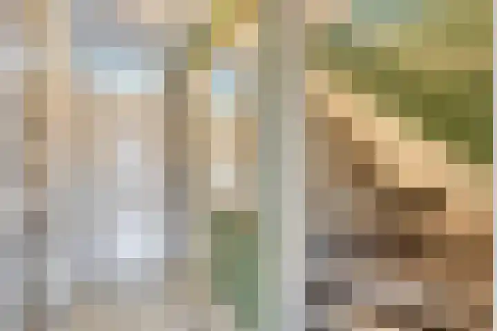 Beemdhof 4 Heteren thumbnail 20