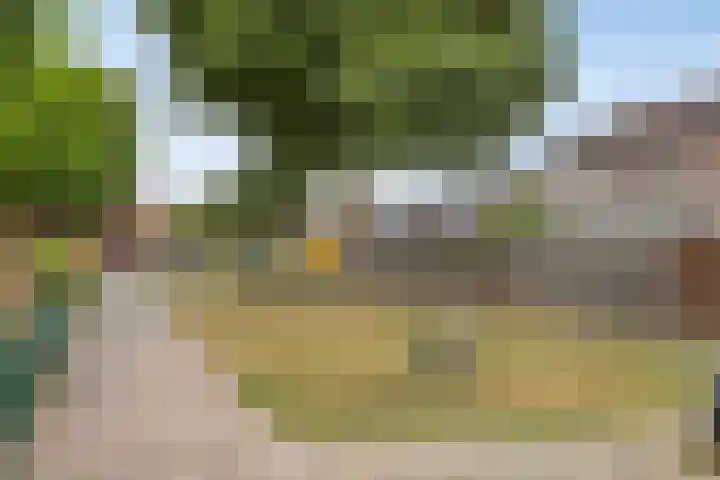 Beemdhof 4 Heteren thumbnail 36