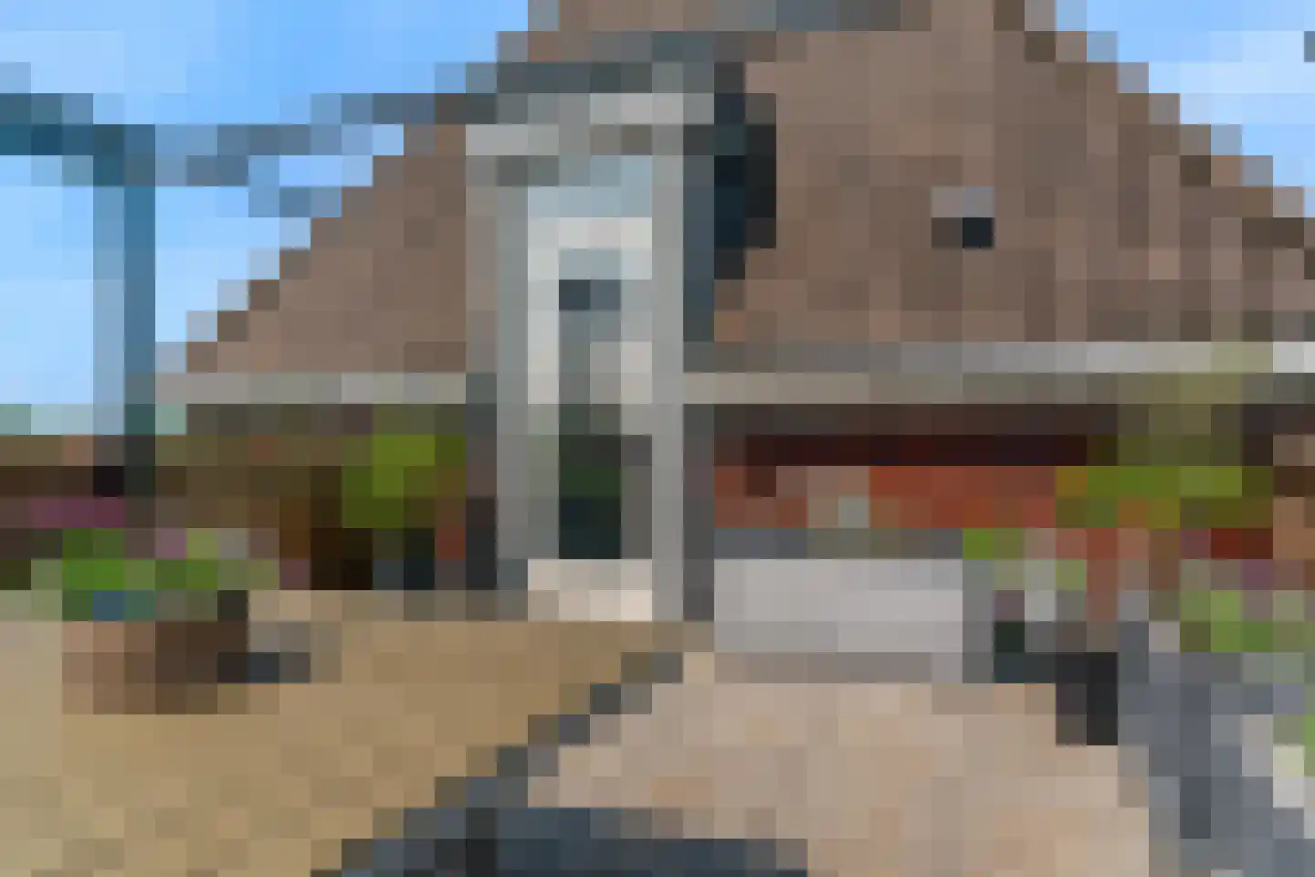 Beemdhof 66 Heteren thumbnail 35