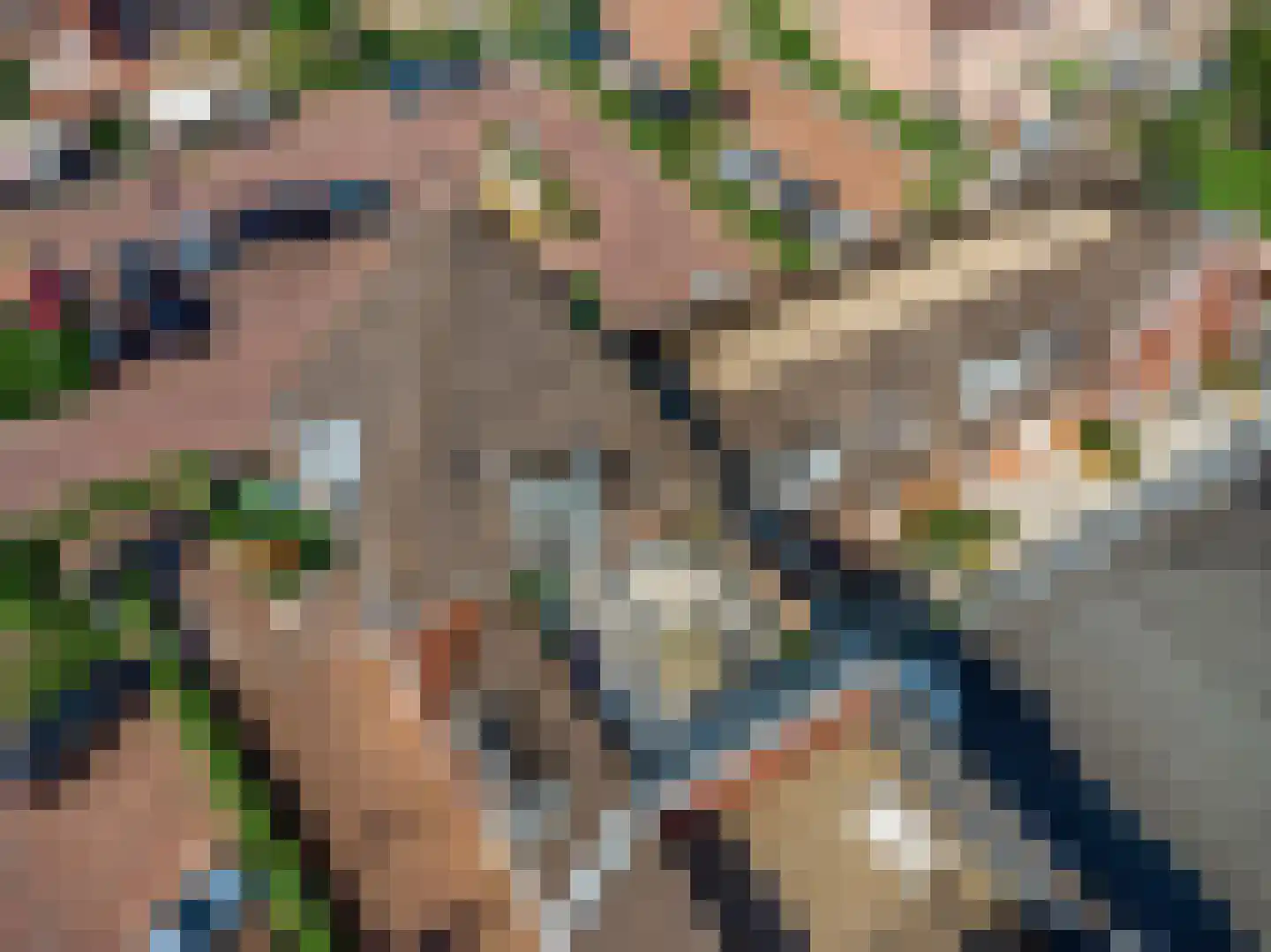 Beemdhof 66 Heteren thumbnail 41