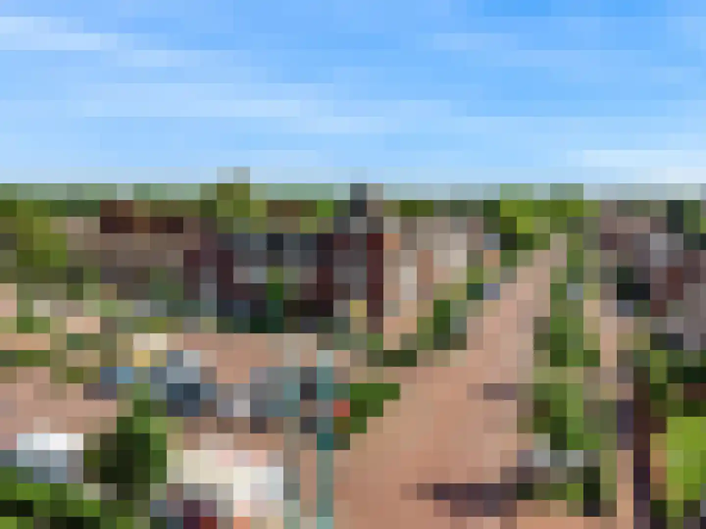 Beemdhof 66 Heteren thumbnail 44