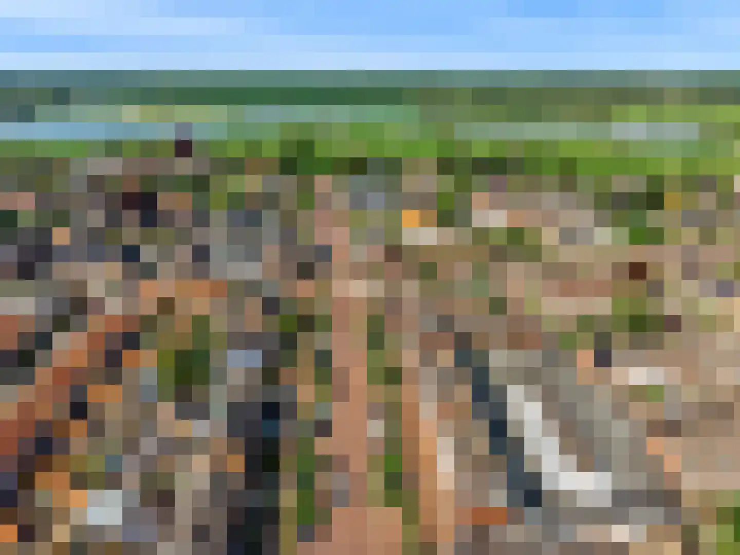 Beemdhof 66 Heteren thumbnail 45