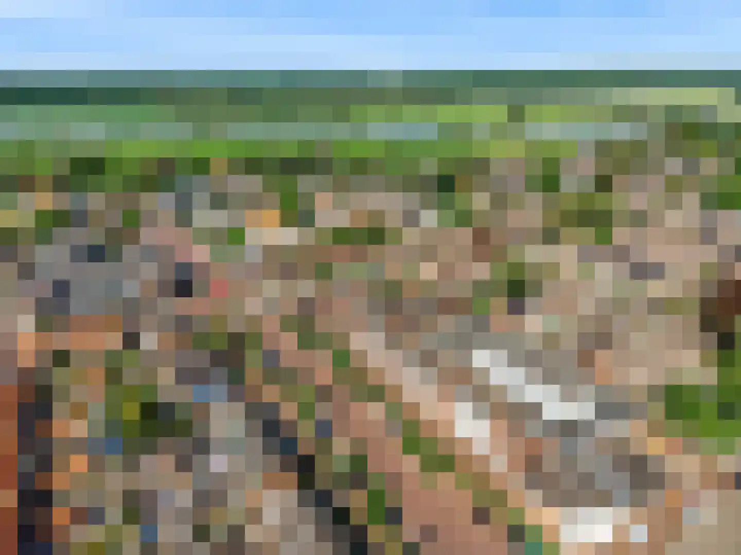 Beemdhof 66 Heteren thumbnail 46
