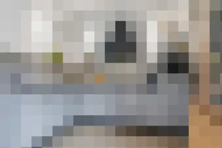 Beemdhof 9 Heteren thumbnail 25