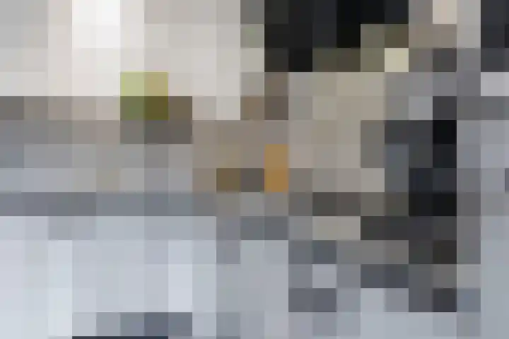 Beemdhof 9 Heteren thumbnail 26