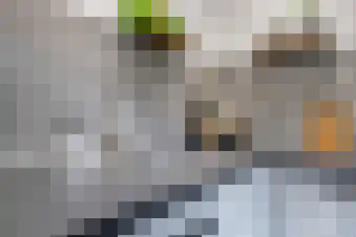 Beemdhof 9 Heteren thumbnail 27