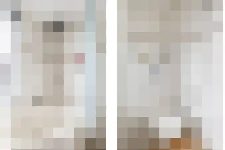 Beemdhof 9 Heteren thumbnail 38